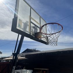Basketball Hoop - Free