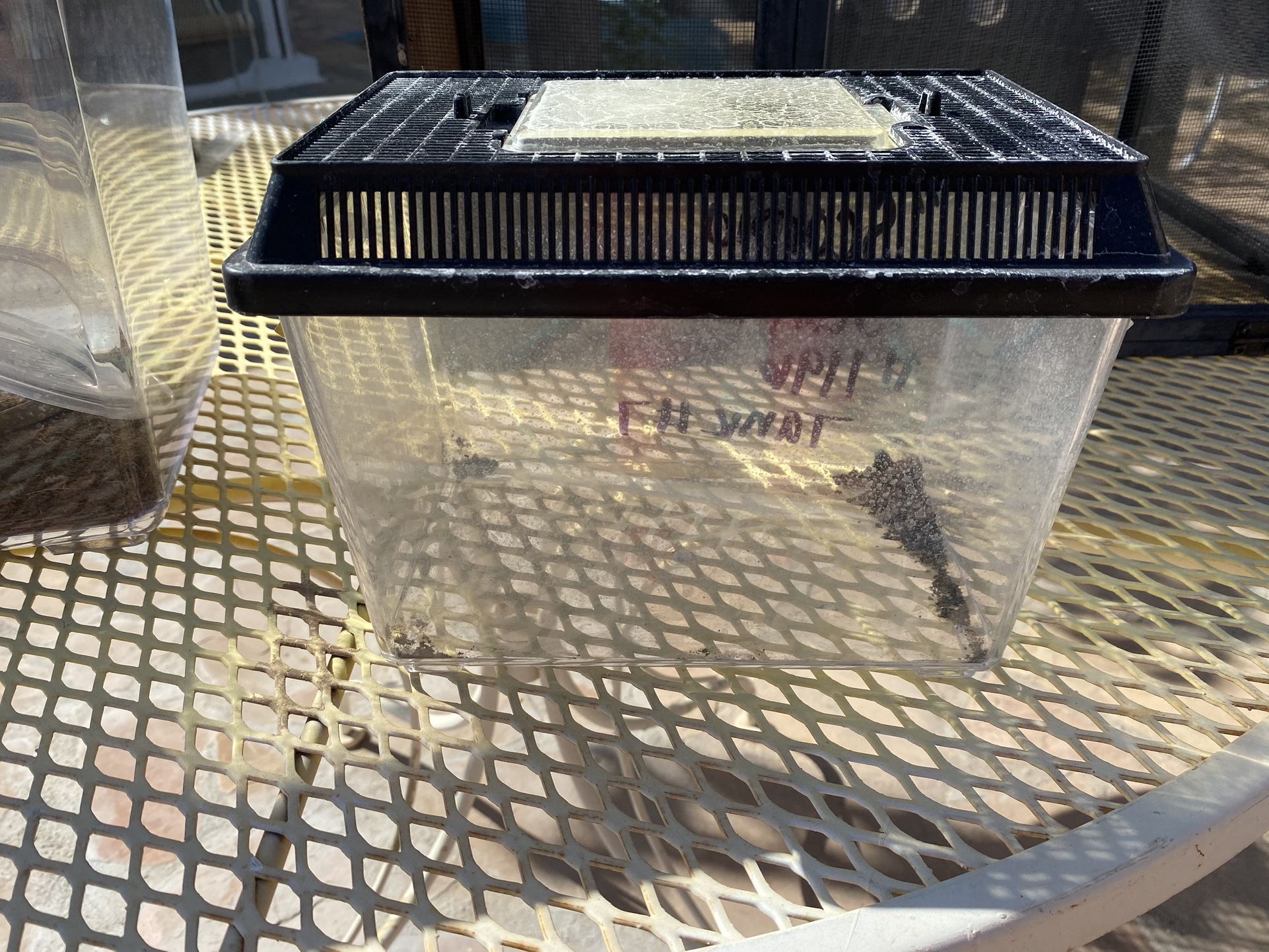 Small Terrarium