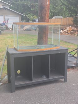 Free fish tank and stand