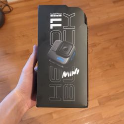GoPro Black 11 Mini