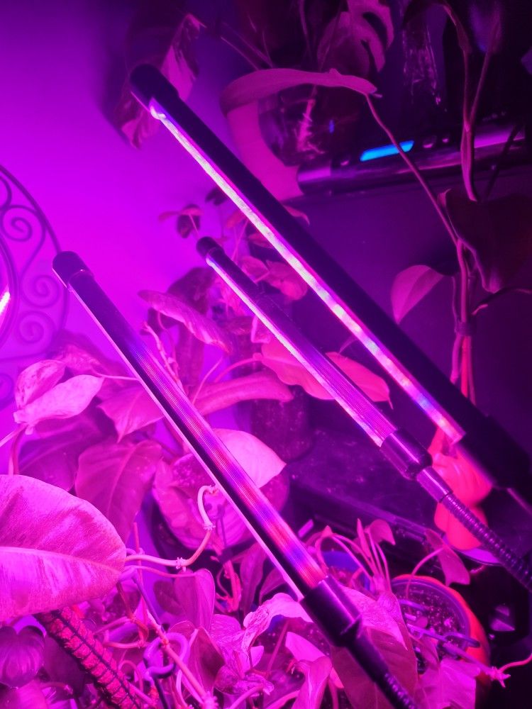 Purple LED Light 3 Heads 
