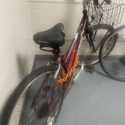 Schwinn  Girls Bicycle