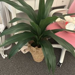 Large Fake Plant 