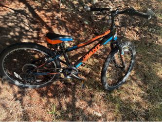 GIANT Brand youth bike