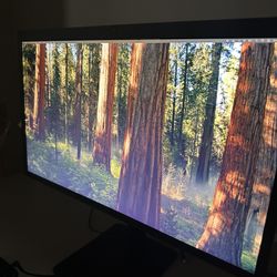 LG UltraFine 5K 27” Monitor (27MD5KL-B) – Excellent Condition