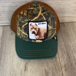 Goorin Bros Snpabck Hat$40