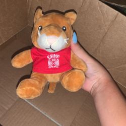 Brown with red shirt