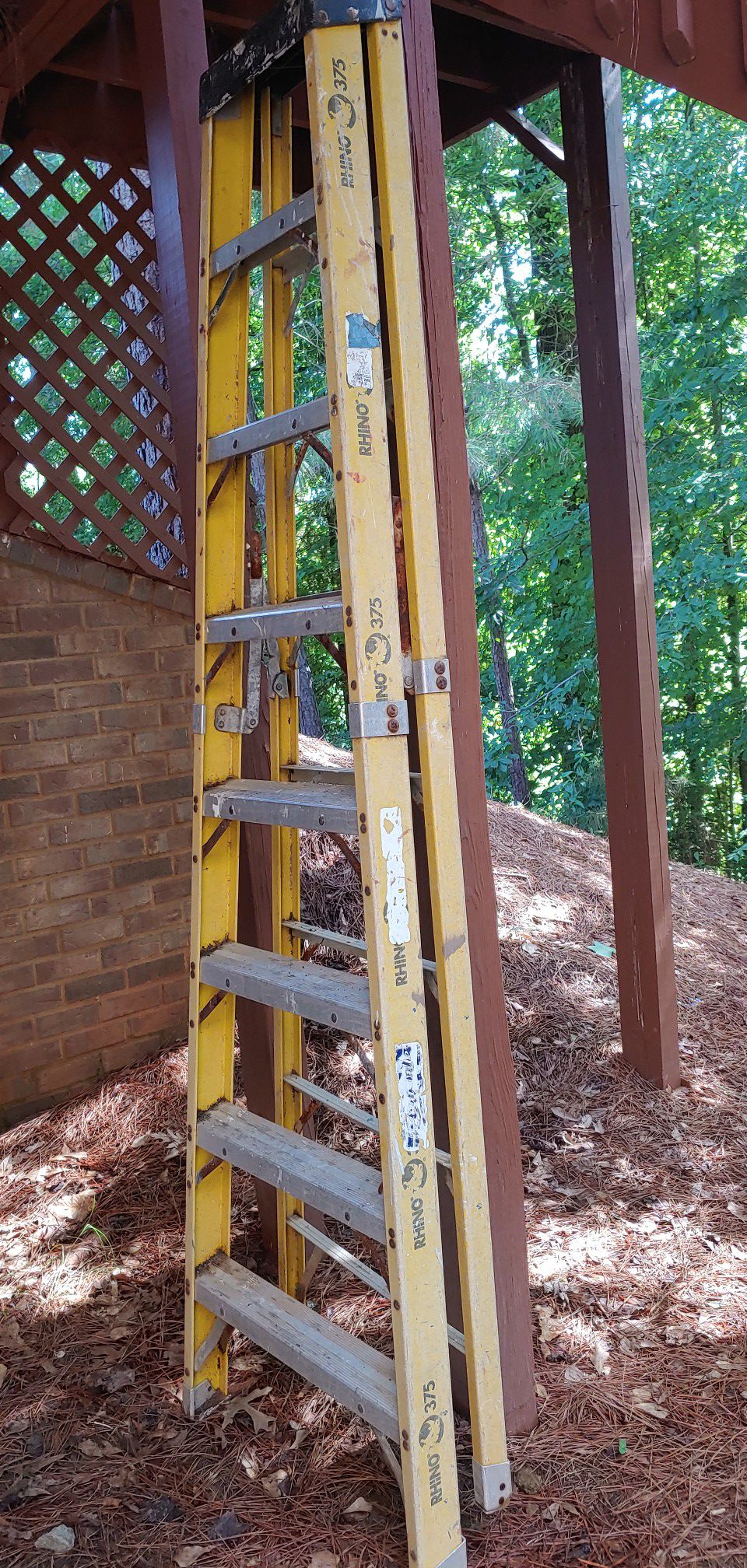Rhino 8 feet Ladder