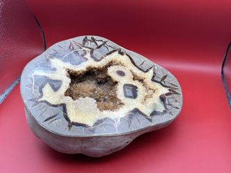 Septarian Nodules Collectible Stone 