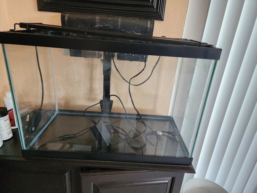 20 Gallon Aquarium Setup