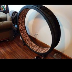 cat exercise wheel