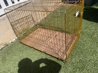 Kennel