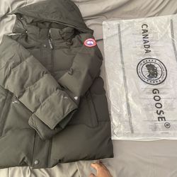 Canada goose(medium)