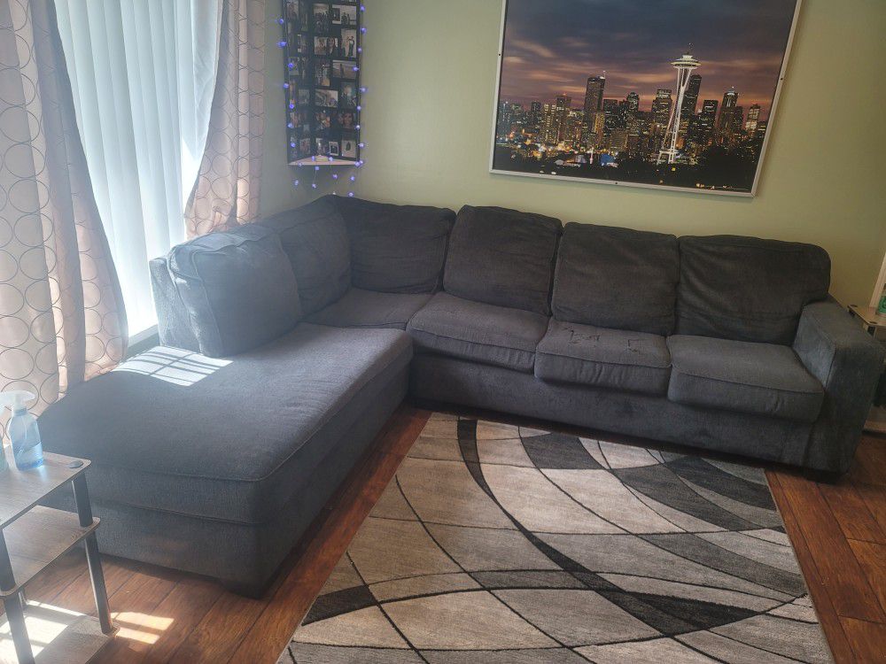 Sectional Couch & Sleeper