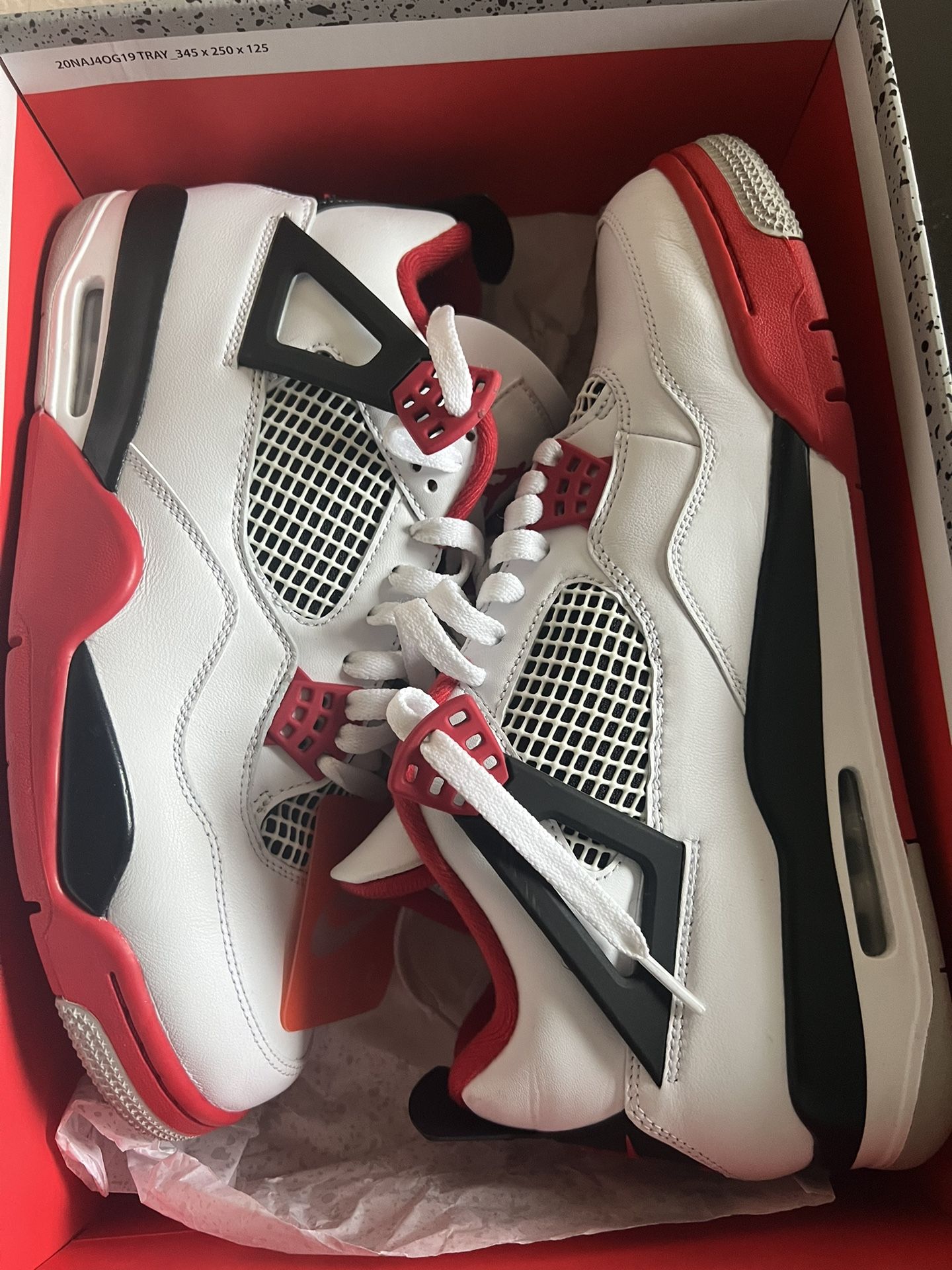 Jordan 4s 