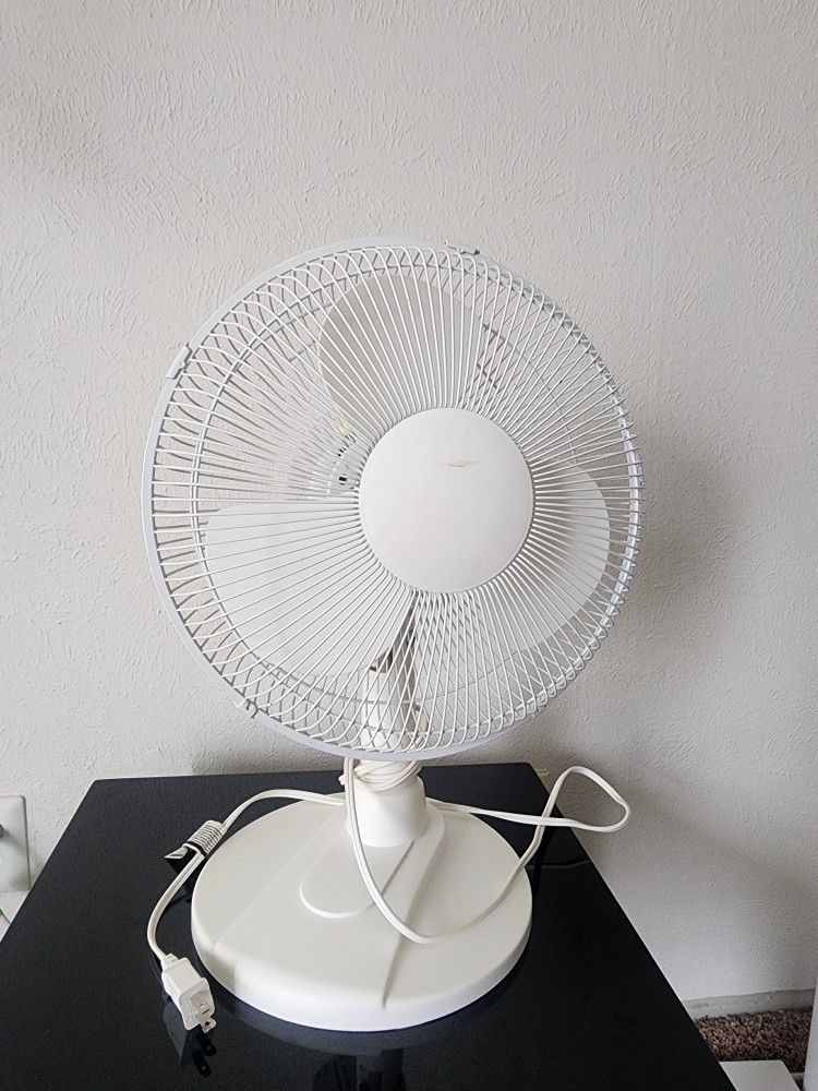 Fan