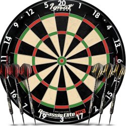 Professional Dart Board