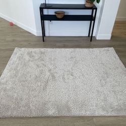 Light Gray Shag Rug 5’3” x 7’