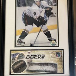Anaheim Ducks Picture