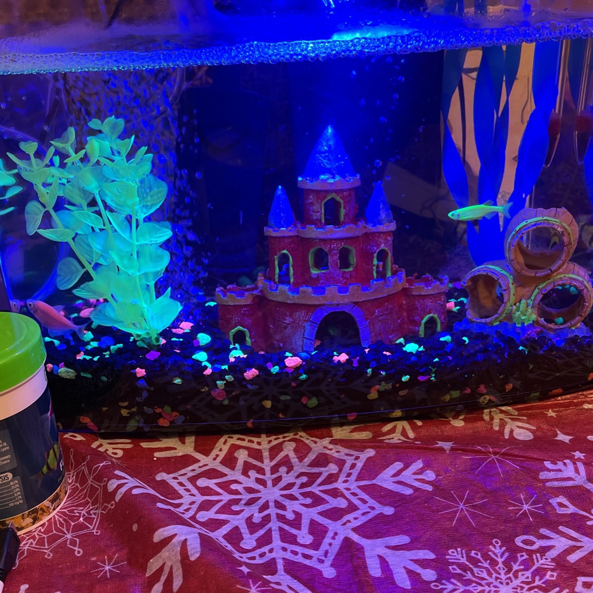 Fish Tank And Kit