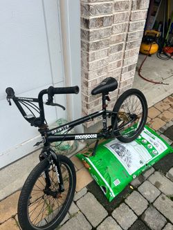 Mongoose brawler