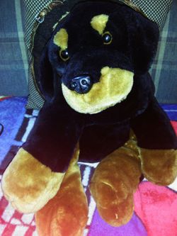 Peluche