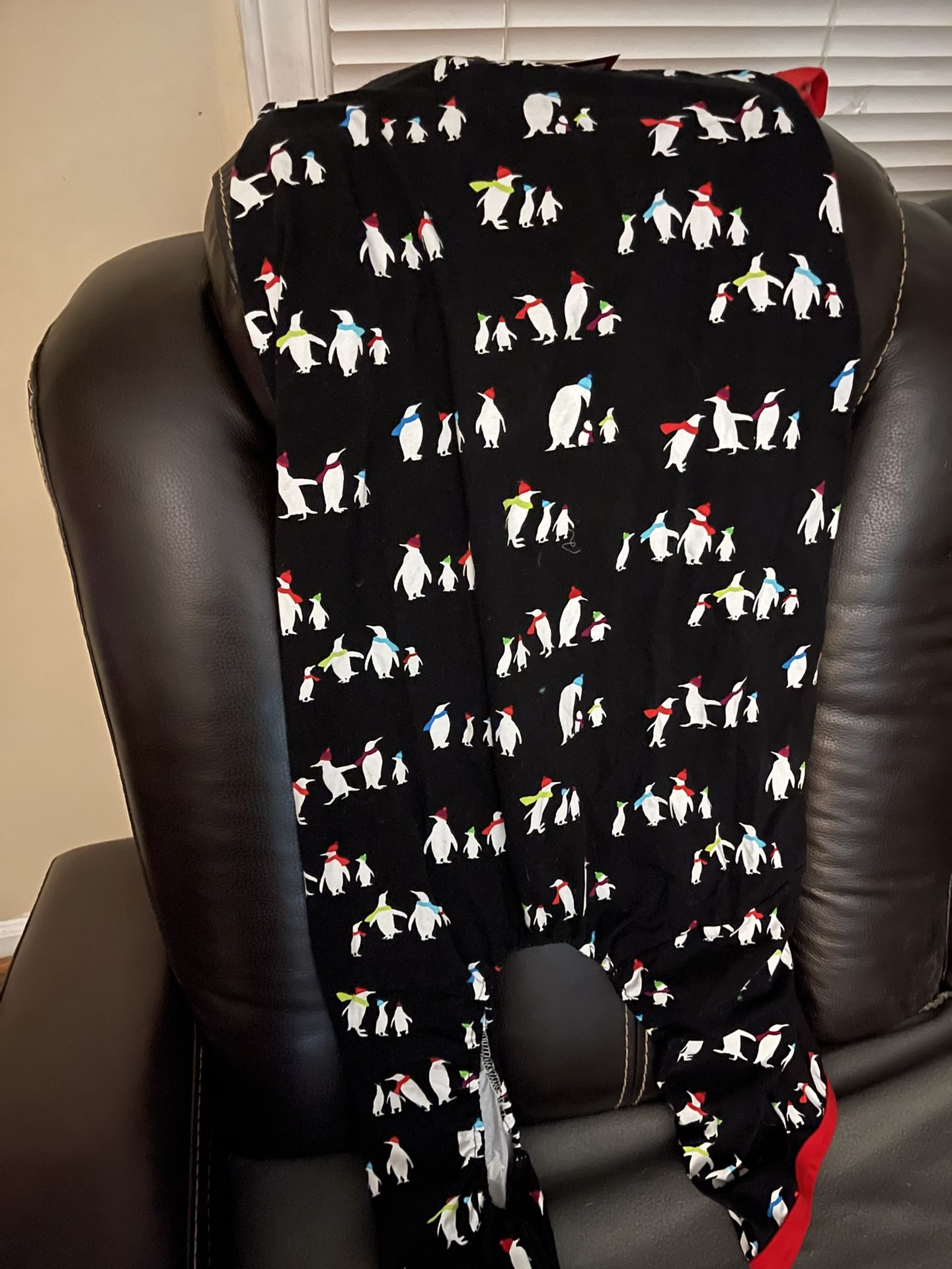 2X dog pajamas