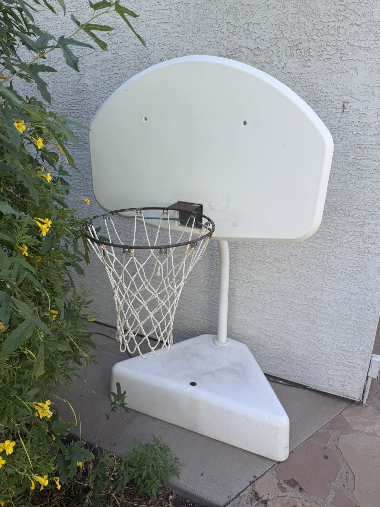 Pool Basketball Hoop