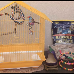 Bird Cage, toys, seed Bundle for Budgies