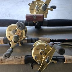 Calcutta 200 400 700 With Redbone Rods 