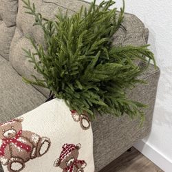 Christmas Pine Branches 