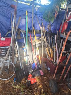 Free garden stuff