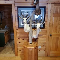 Springbok Pedestal Mount 