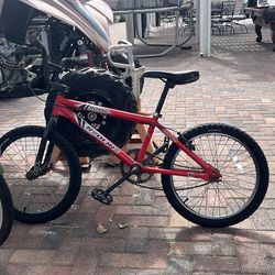roam redline bike