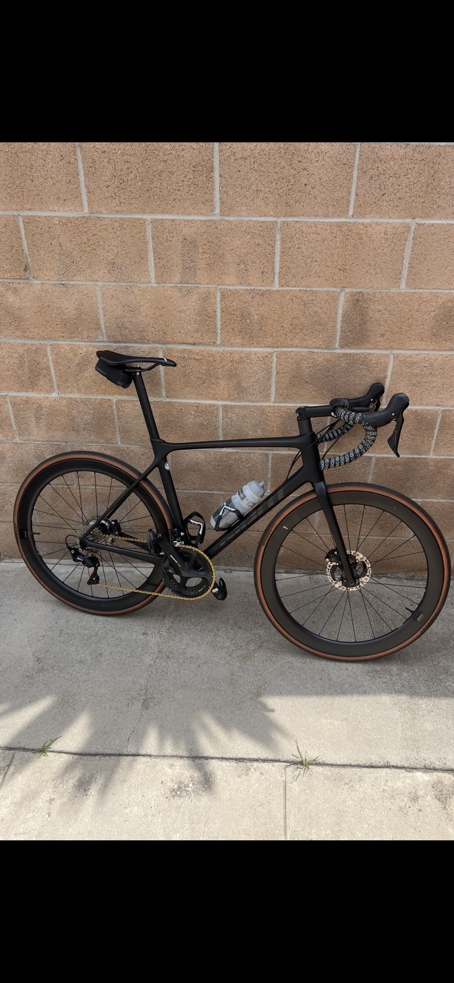 Giant TCR Advanced Disc Medium Large