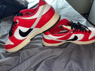 Chicago Dunks Size 12