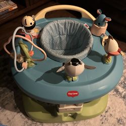 Tiny love 4 in 1 baby walker and activity center