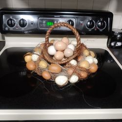 Fake Eggs
