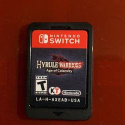 Hyrule Warriors Age of Calamity 