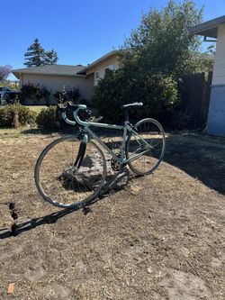 Bianchi Eros Donna