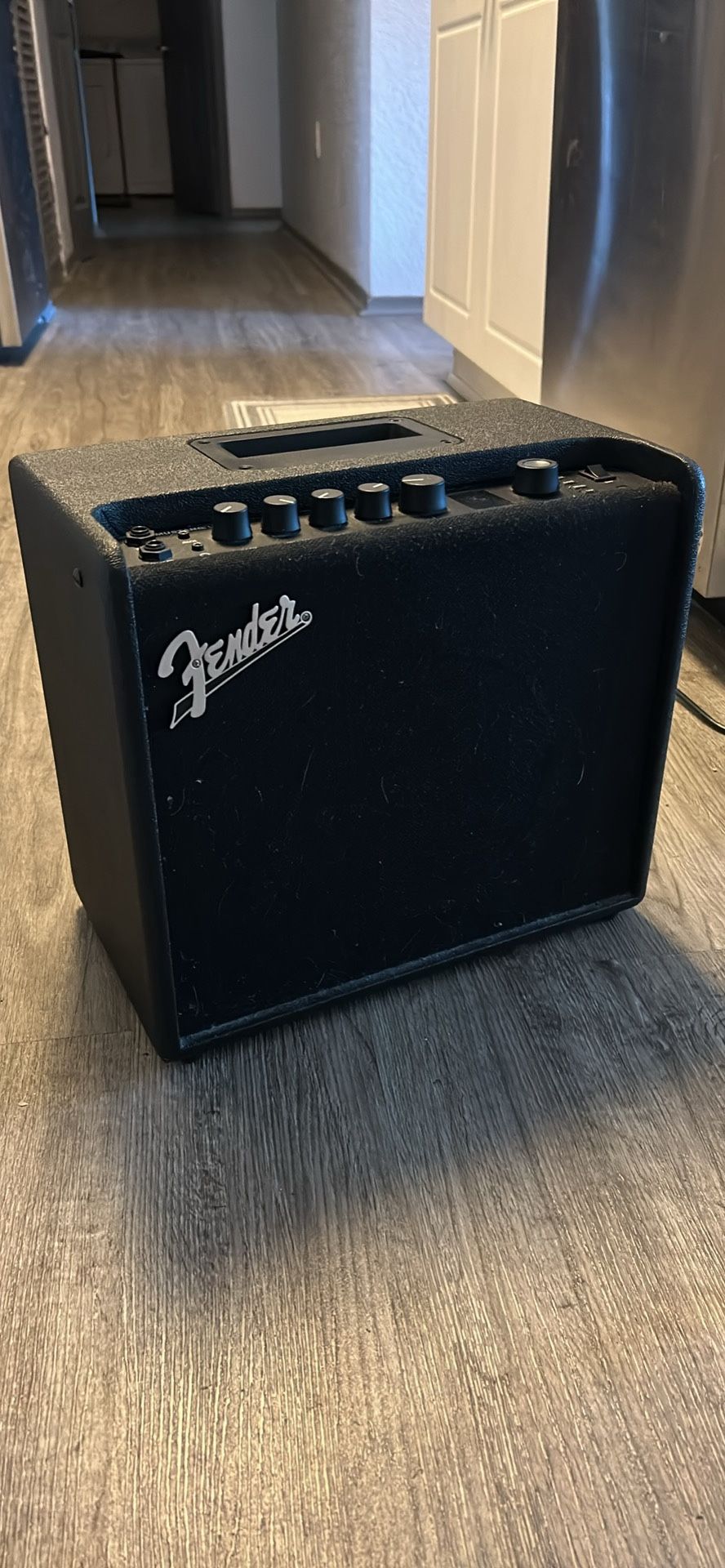 Fender amp Mustang LT25