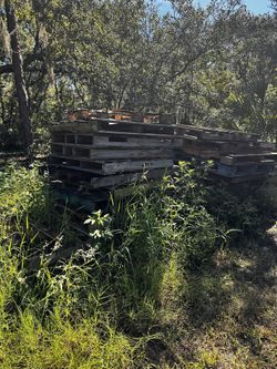 Pallets Free For Pickup