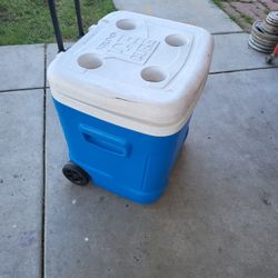 Cooler