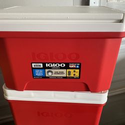 Igloo Cooler