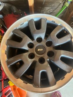 Rines 17 raptor