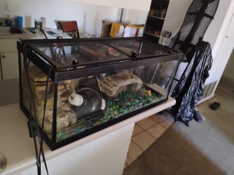 Turtle Or Fish Tank