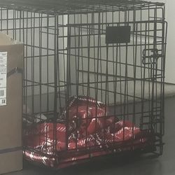Medium Sized Kennel
