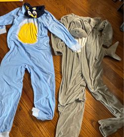 Adult One piece/onesie costume