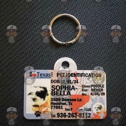 Pet Identification Card For Collar 