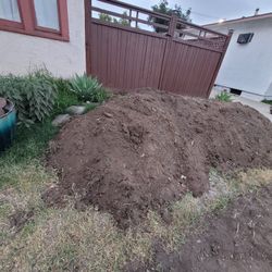 Free Free Free Soil